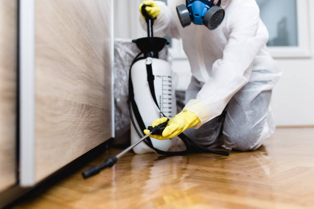 Best Local Pest Control Services  in Flordell Hills, MO