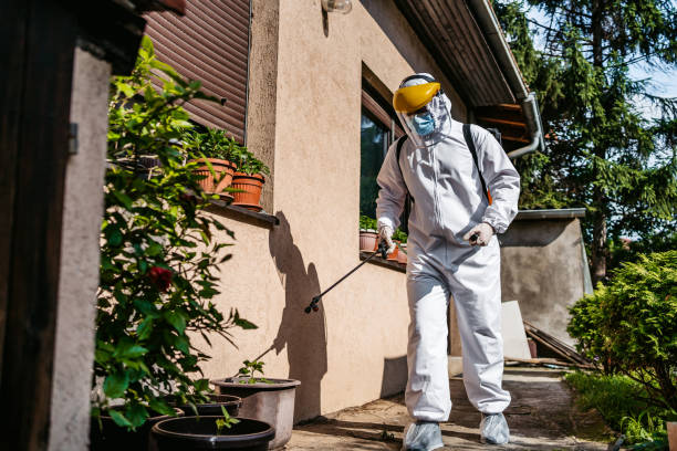 Reliable Flordell Hills, MO Pest Control Solutions
