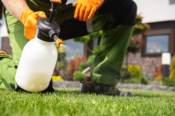 Best Pest Prevention Services  in Flordell Hills, MO
