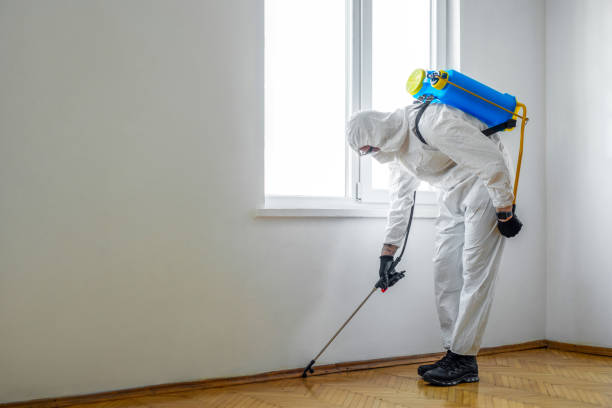 Best Pest Removal Services  in Flordell Hills, MO