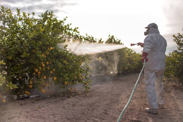 Best Bed Bug Extermination  in Flordell Hills, MO
