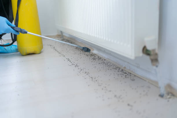 Best Best Pest Control Companies  in Flordell Hills, MO