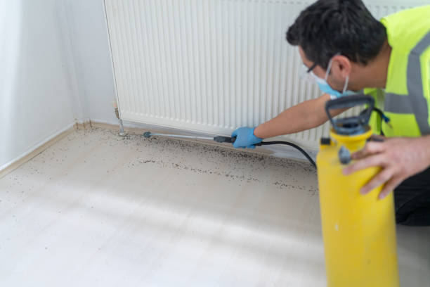 Best Mosquito Control Services  in Flordell Hills, MO