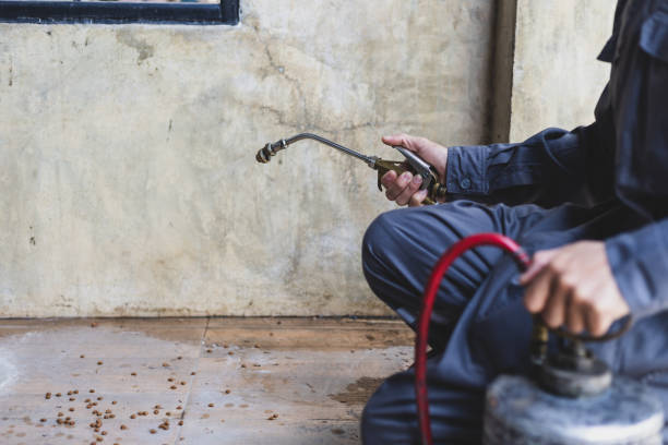 Best Ant Control Services  in Flordell Hills, MO
