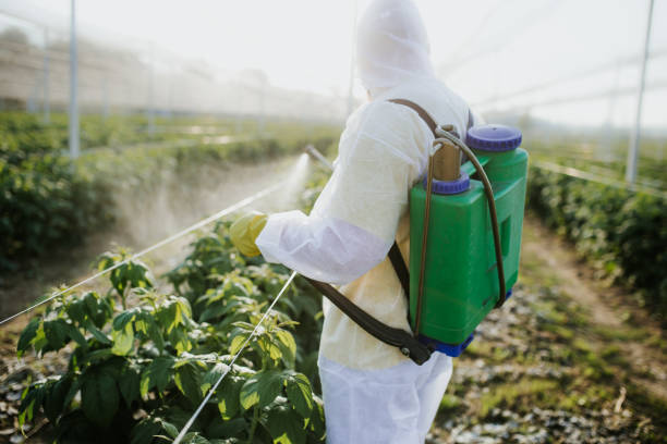 Best Commercial Pest Control Services  in Flordell Hills, MO